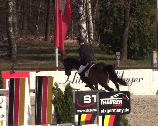 FEI Reitturnier Westergellersen (GER) 2021