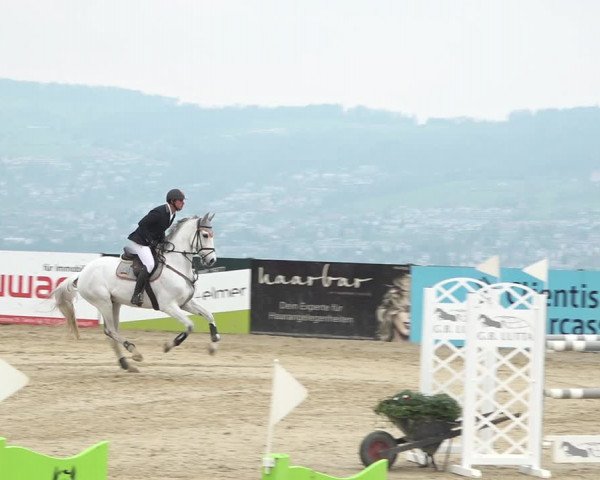 Reitturnier Wädenswil 2021