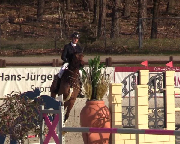 FEI Reitturnier Westergellersen (GER) 2021