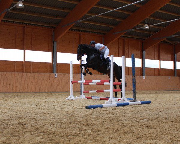 broodmare Pia Lotta (Bavarian, 2008, from Leon)