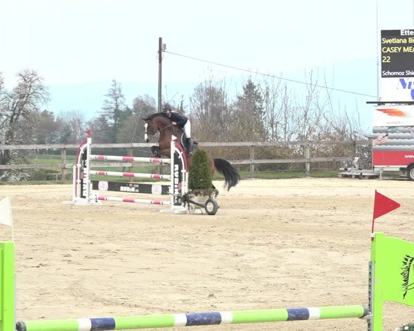 Reitturnier Wädenswil 2021