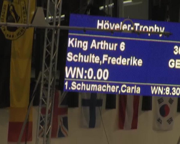 jumper King Arthur 6 (German Riding Pony, 2001, from Kaiserstolz)