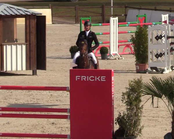 FEI Reitturnier Westergellersen (GER) 2021