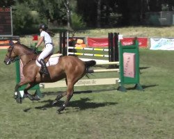 jumper Zoé (Holsteiner, 2007)