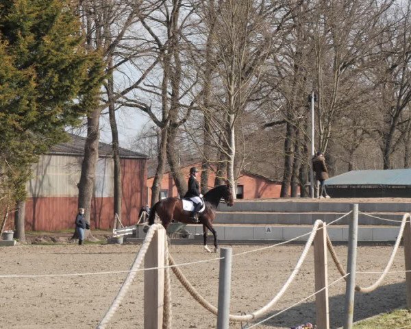 Reitturnier Handorf 2021