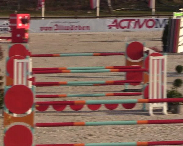 FEI Reitturnier Westergellersen (GER) 2021