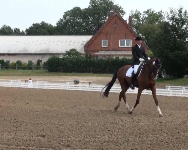 dressage horse Ludewig 4 (Hanoverian, 2004, from Longchamp)