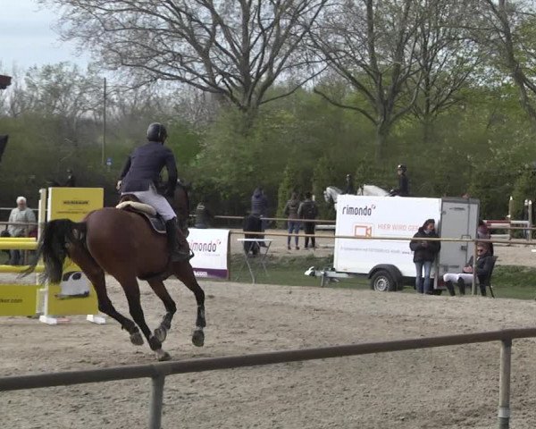 Reitturnier Lampertheim 2021