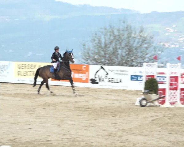 Reitturnier Wädenswil 2021