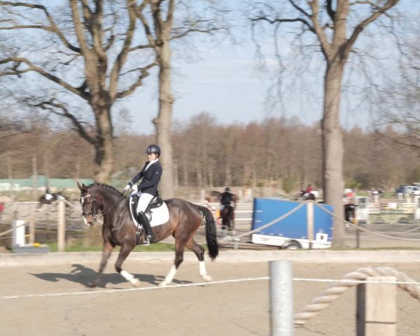 Reitturnier Handorf 2021