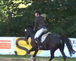 broodmare Gwenhwyfar 11 (German Riding Pony, 2006, from Llaun Taniwr)