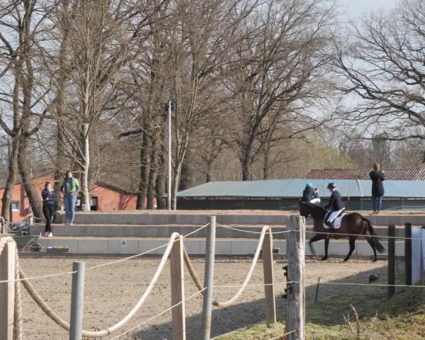 Reitturnier Handorf 2021