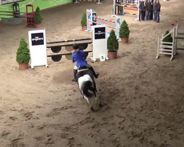 jumper Kiara Little Oak (German Riding Pony, 1999)
