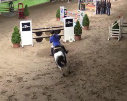 jumper Kiara Little Oak (German Riding Pony, 1999)