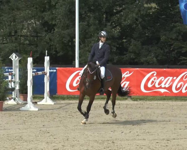 jumper Chubby Checker 8 (Holsteiner, 2006, from Candillo Z)