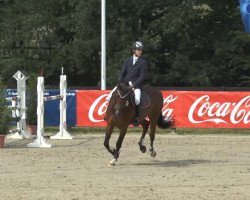 jumper Chubby Checker 8 (Holsteiner, 2006, from Candillo Z)