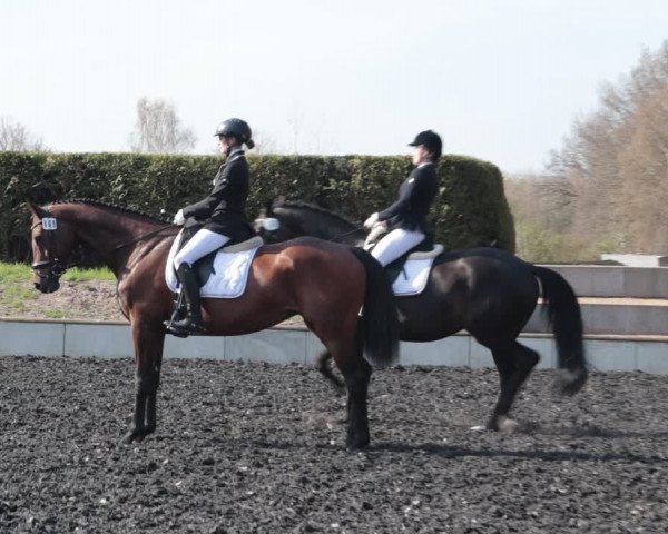 Reitturnier Handorf 2021