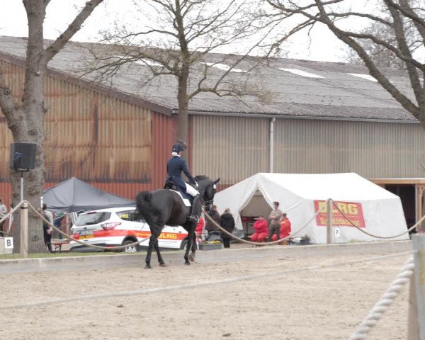 Reitturnier Handorf 2021
