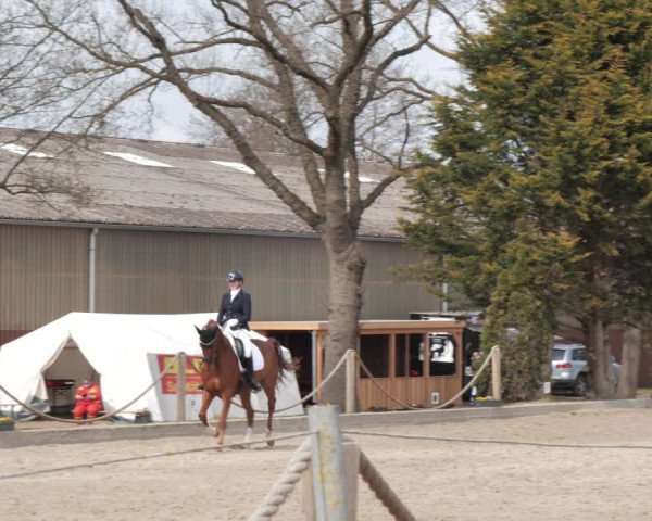 Reitturnier Handorf 2021