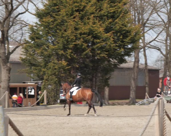 Reitturnier Handorf 2021