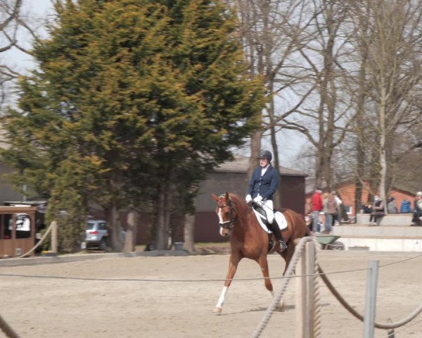 Reitturnier Handorf 2021