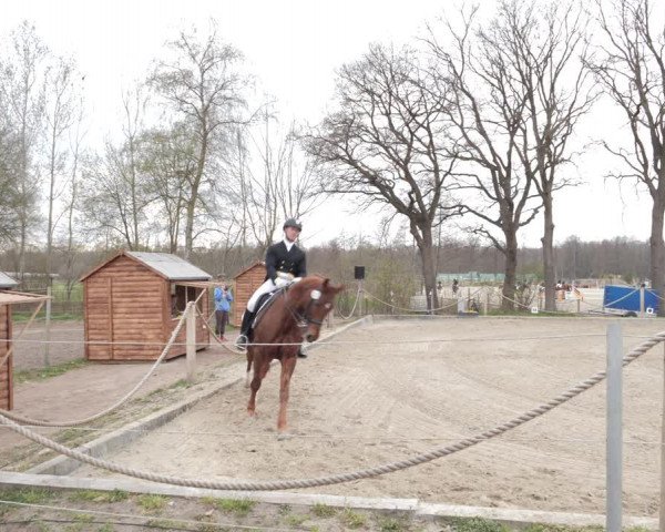 Reitturnier Handorf 2021