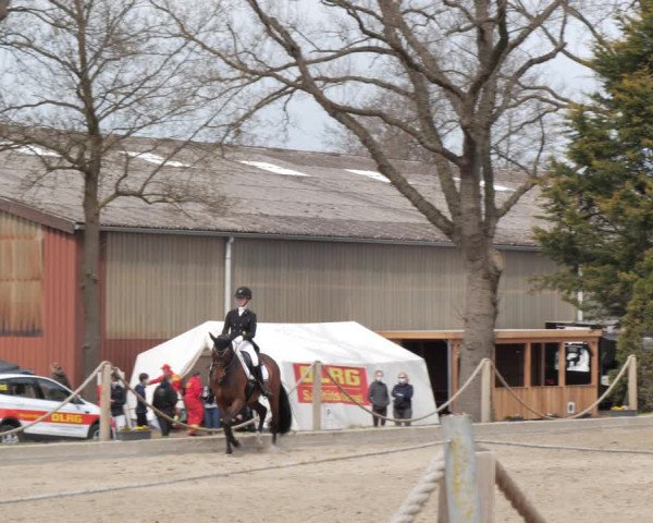 Reitturnier Handorf 2021