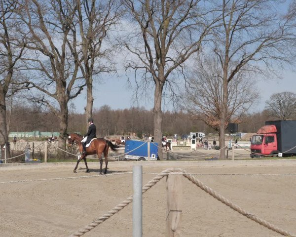 Reitturnier Handorf 2021