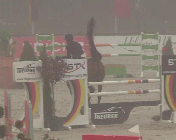Reitturnier Westergellersen 2021