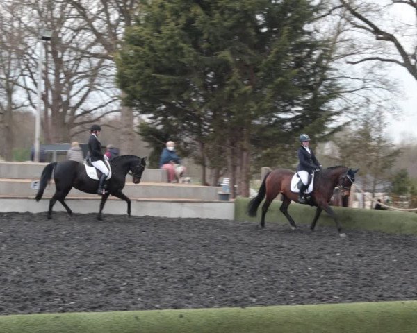 Reitturnier Handorf 2021