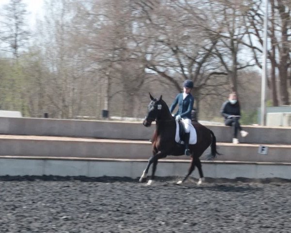 Reitturnier Handorf 2021