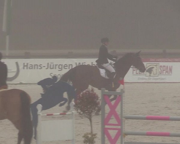 Reitturnier Westergellersen 2021