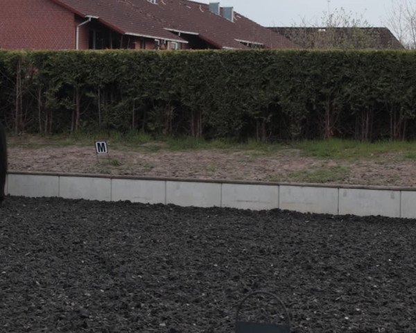 Reitturnier Handorf 2021