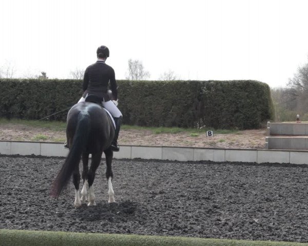 Reitturnier Handorf 2021