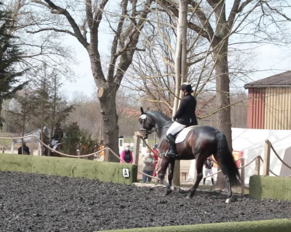 Reitturnier Handorf 2021