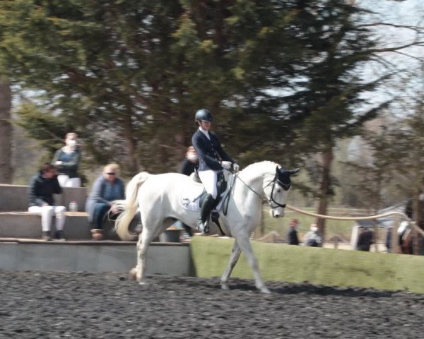 Reitturnier Handorf 2021