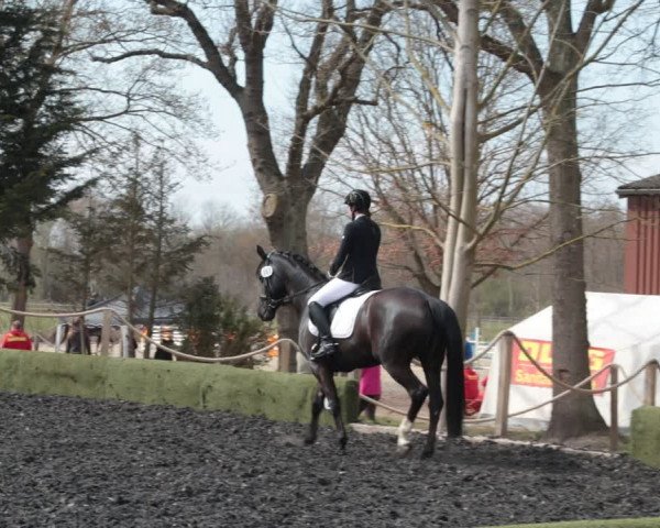 Reitturnier Handorf 2021