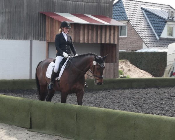 Reitturnier Handorf 2021