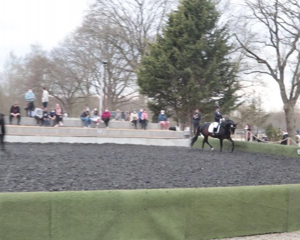 Reitturnier Handorf 2021