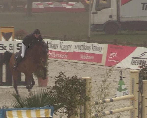 Reitturnier Westergellersen 2021