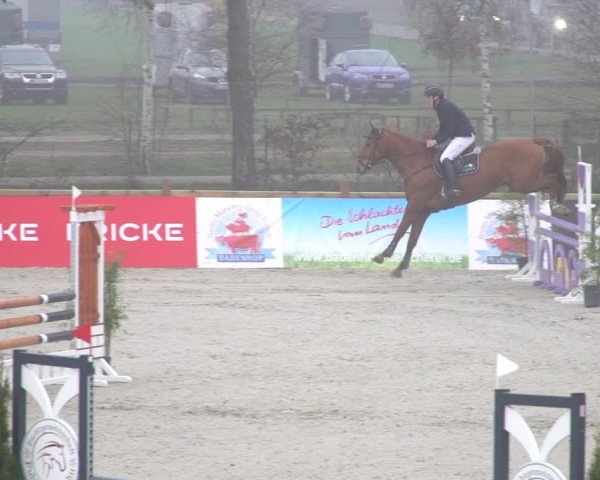 Reitturnier Westergellersen 2021