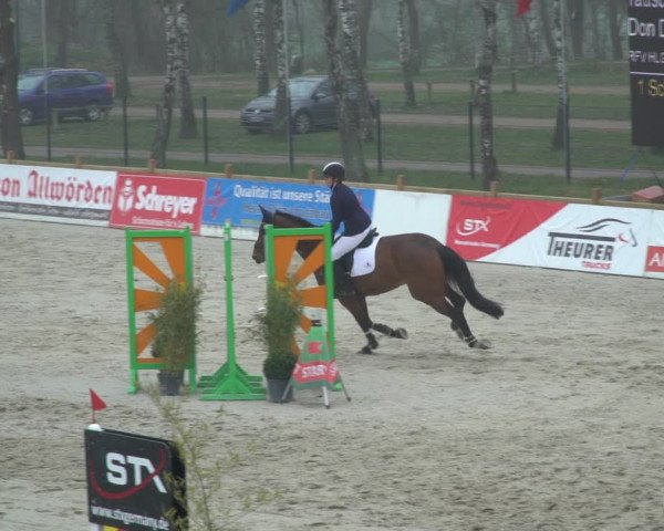 Reitturnier Westergellersen 2021