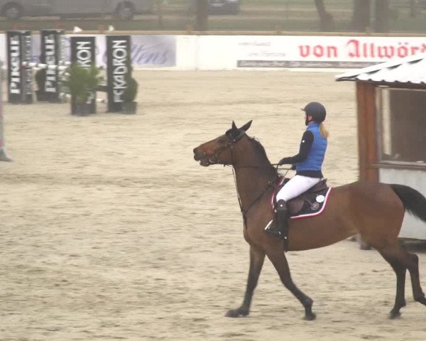 Reitturnier Westergellersen 2021