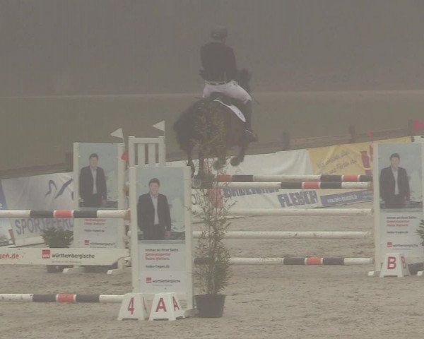 Reitturnier Westergellersen 2021