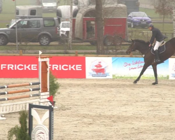 Reitturnier Westergellersen 2021