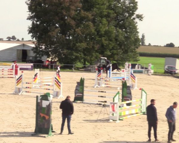 Springreitturnier Hohburg 2021