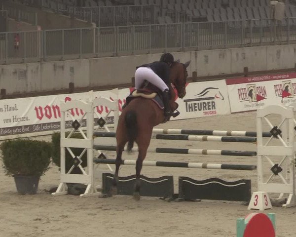 Reitturnier Westergellersen 2021