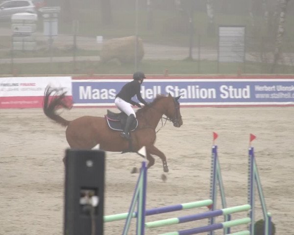 Reitturnier Westergellersen 2021