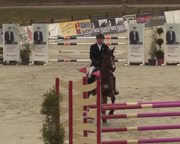 Reitturnier Westergellersen 2021