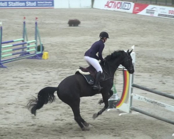 Reitturnier Westergellersen 2021